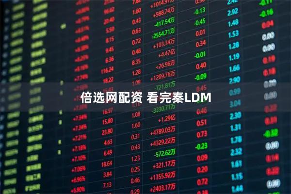 倍选网配资 看完秦LDM