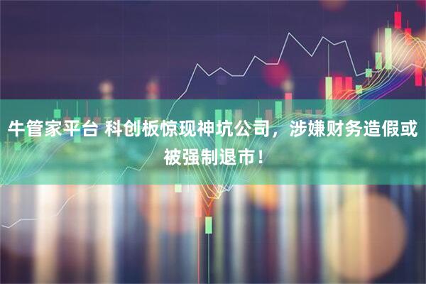 牛管家平台 科创板惊现神坑公司，涉嫌财务造假或被强制退市！